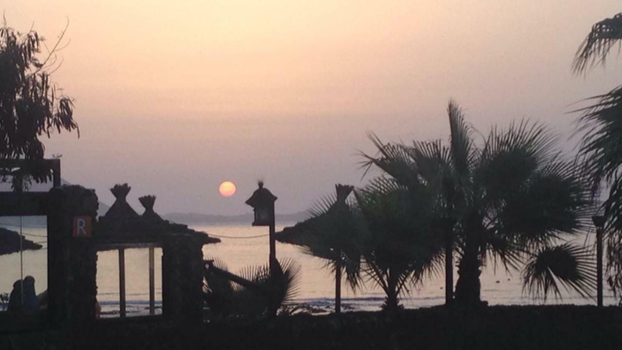 Lima Waikiki Beach Corralejo Buitenkant foto